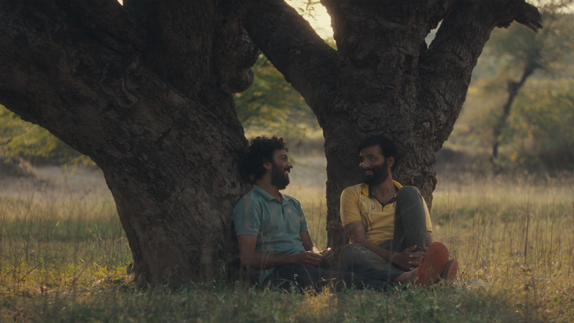 HUNGAMA: CACTUS PEARS + Q&A