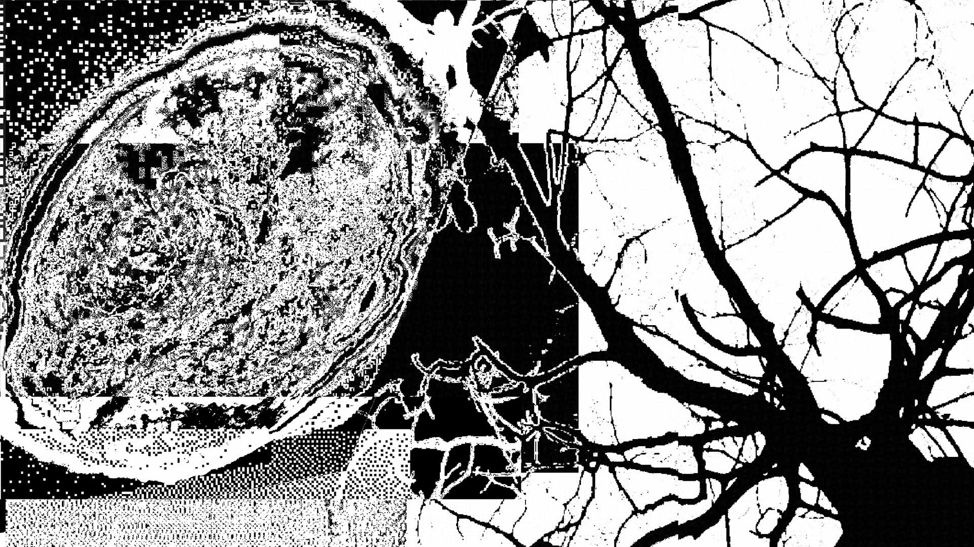 Dream Emulator: SUFFER THE SILENT SUN – FOLK HORROR IN OUR DIGITAL IMAGINATIONS