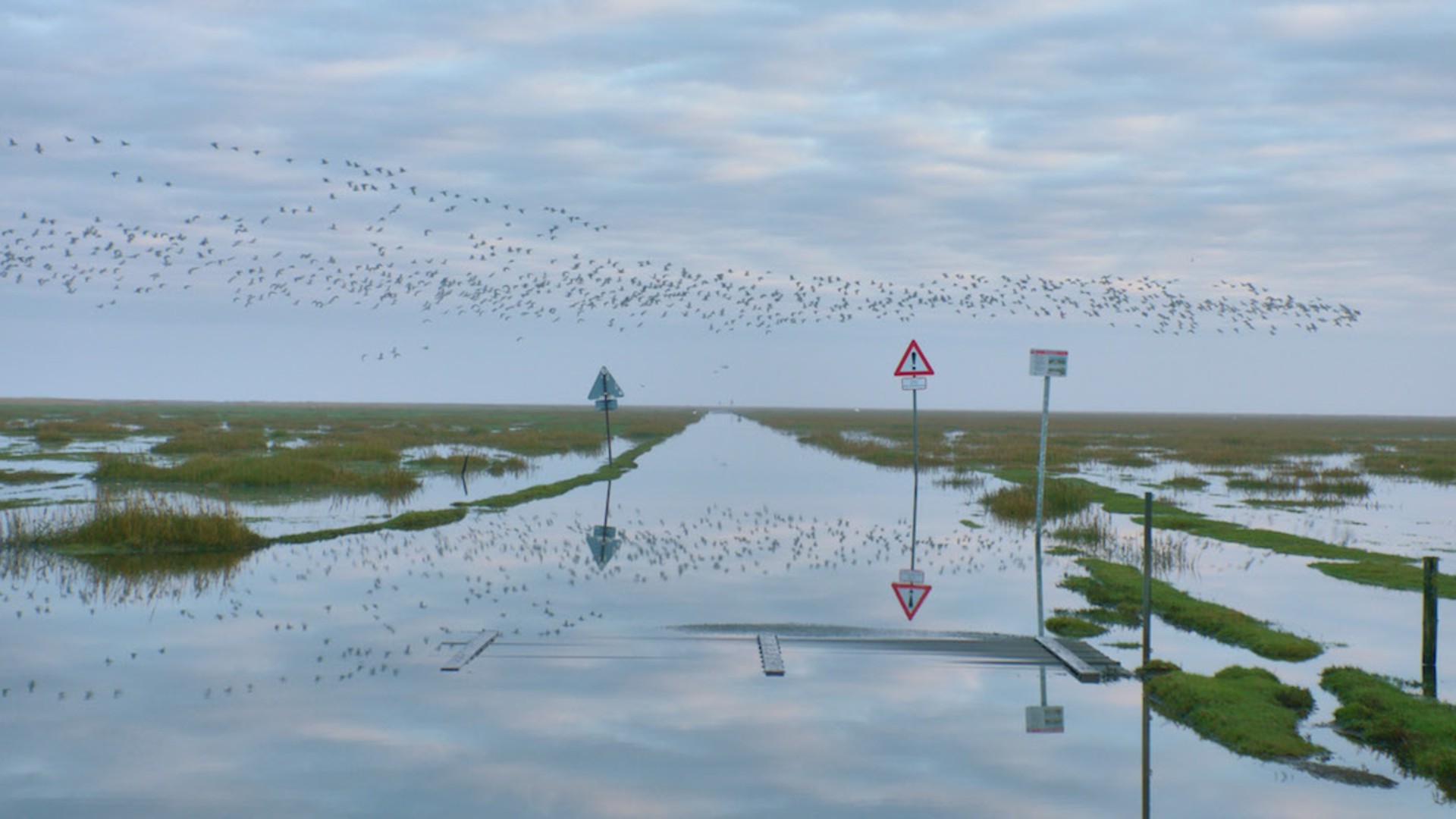 Green Film Festival: As the Tide Comes In