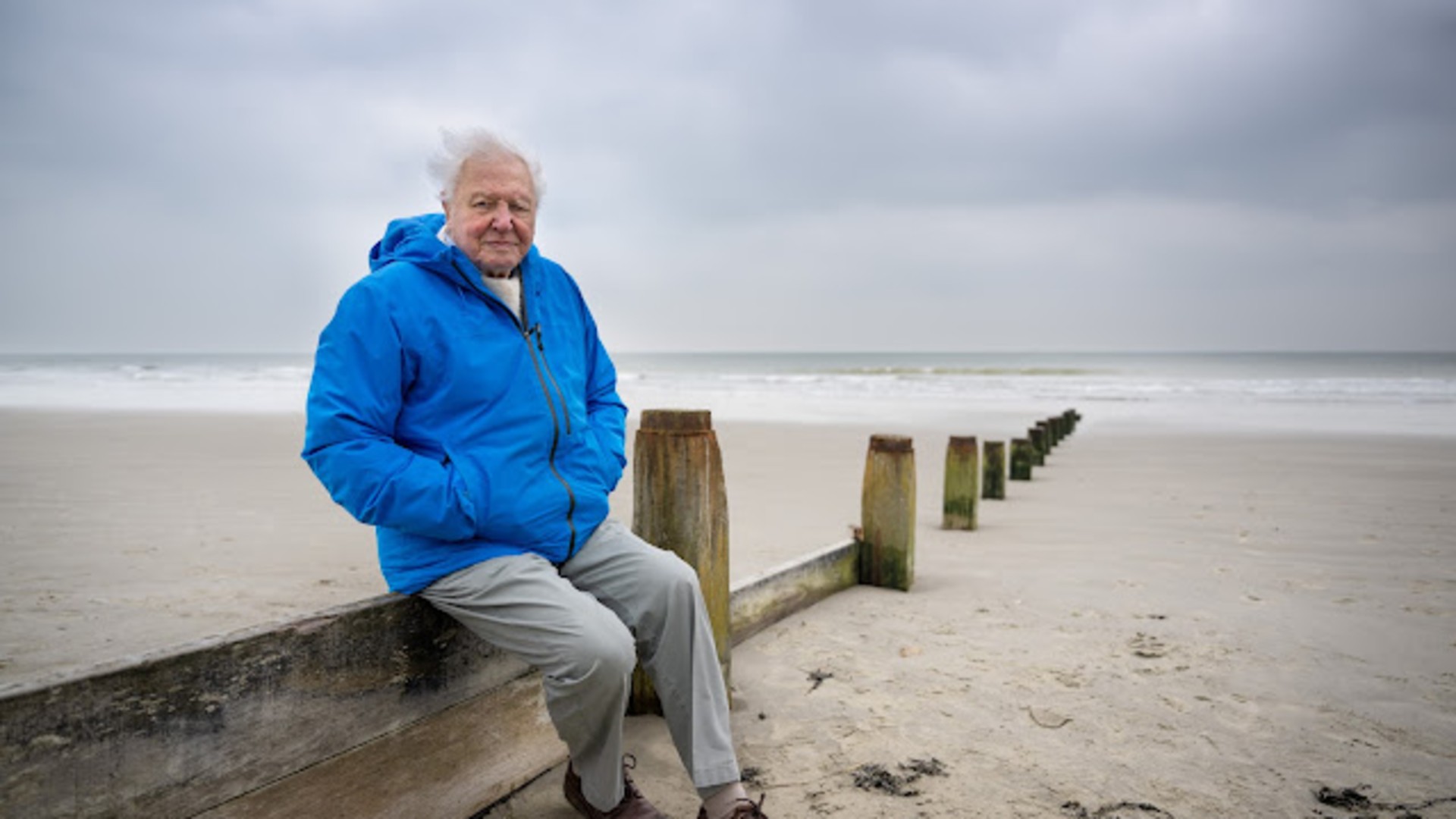 Ocean with David Attenborough