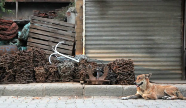 Triple Bill: TASKAFA, STORIES OF THE STREET