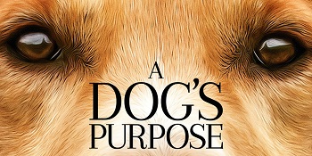 A Dog's Purpose