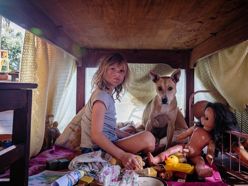 Don't Let's Go to the Dogs Tonight