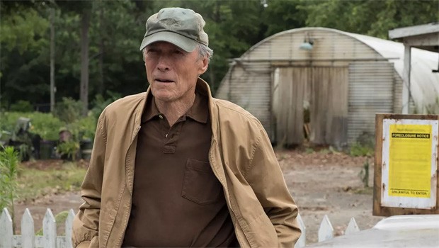 The Mule