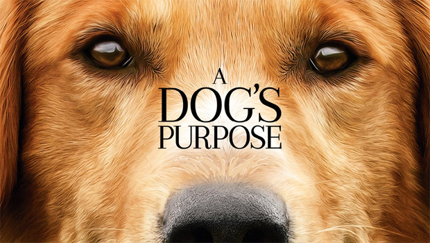 A Dogs Purpose