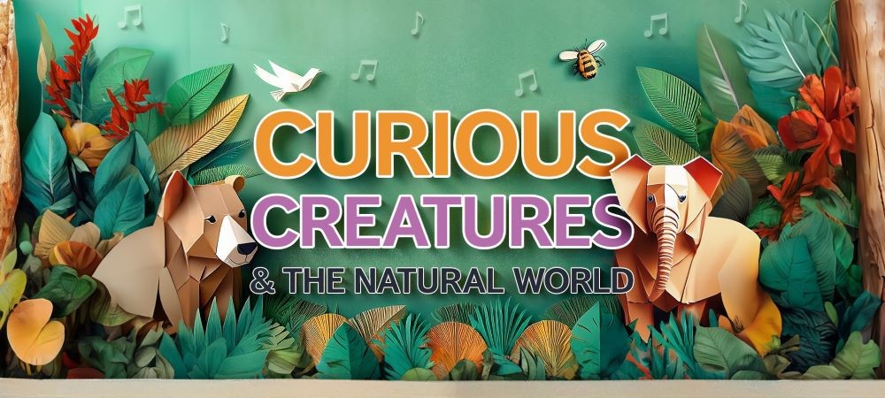 BSO Curious Creatures