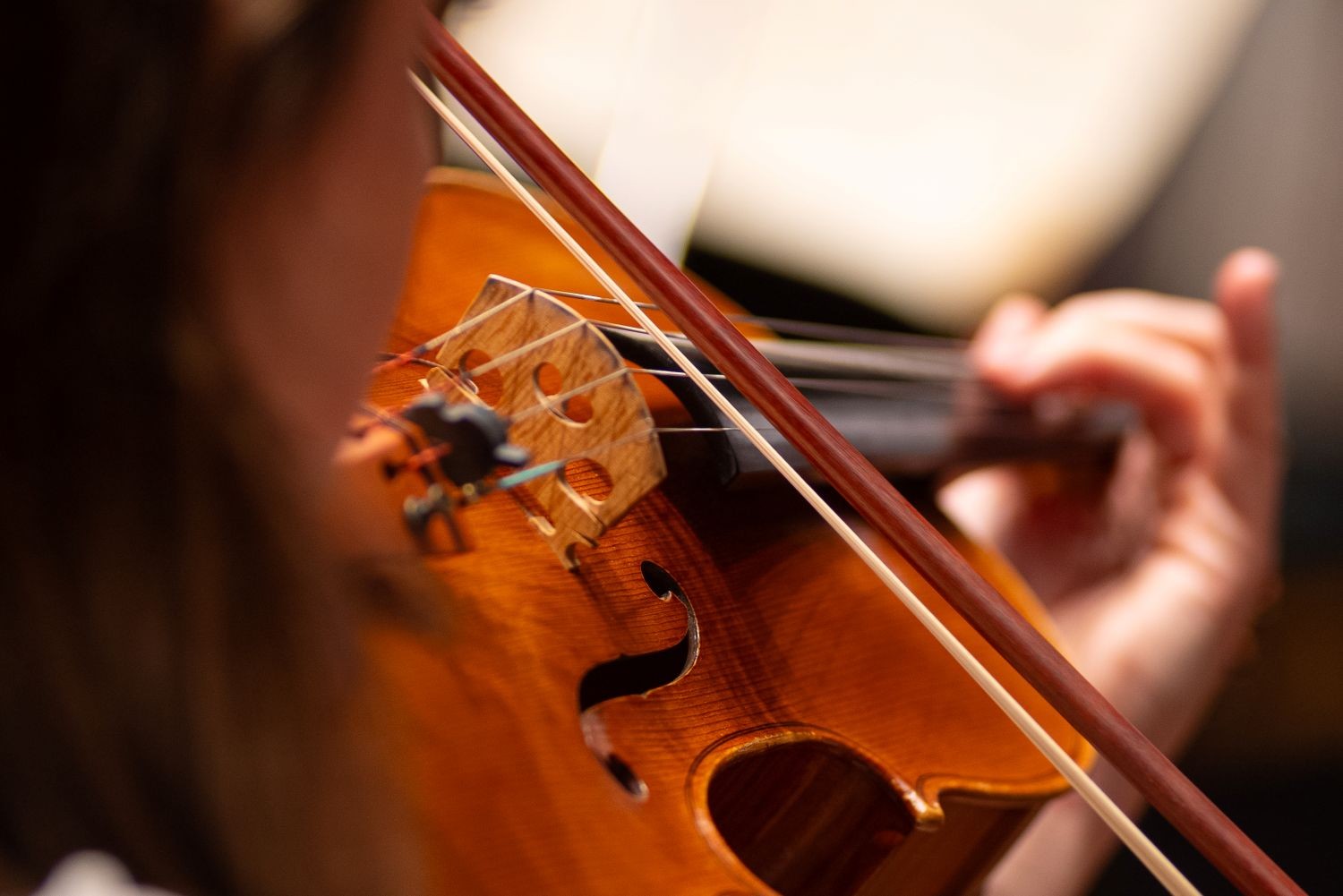 BSO Musical Families