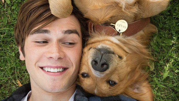 A Dog's Purpose
