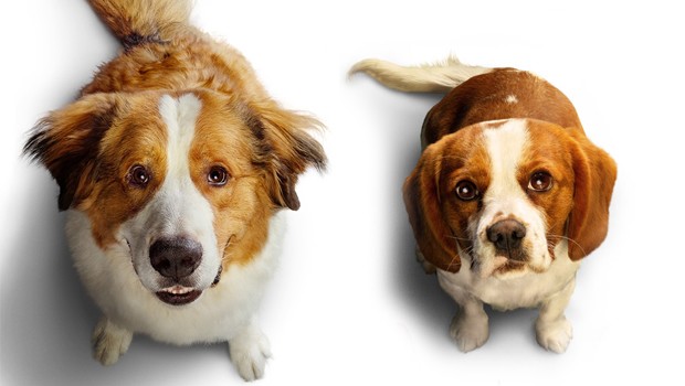 A Dogs Journey