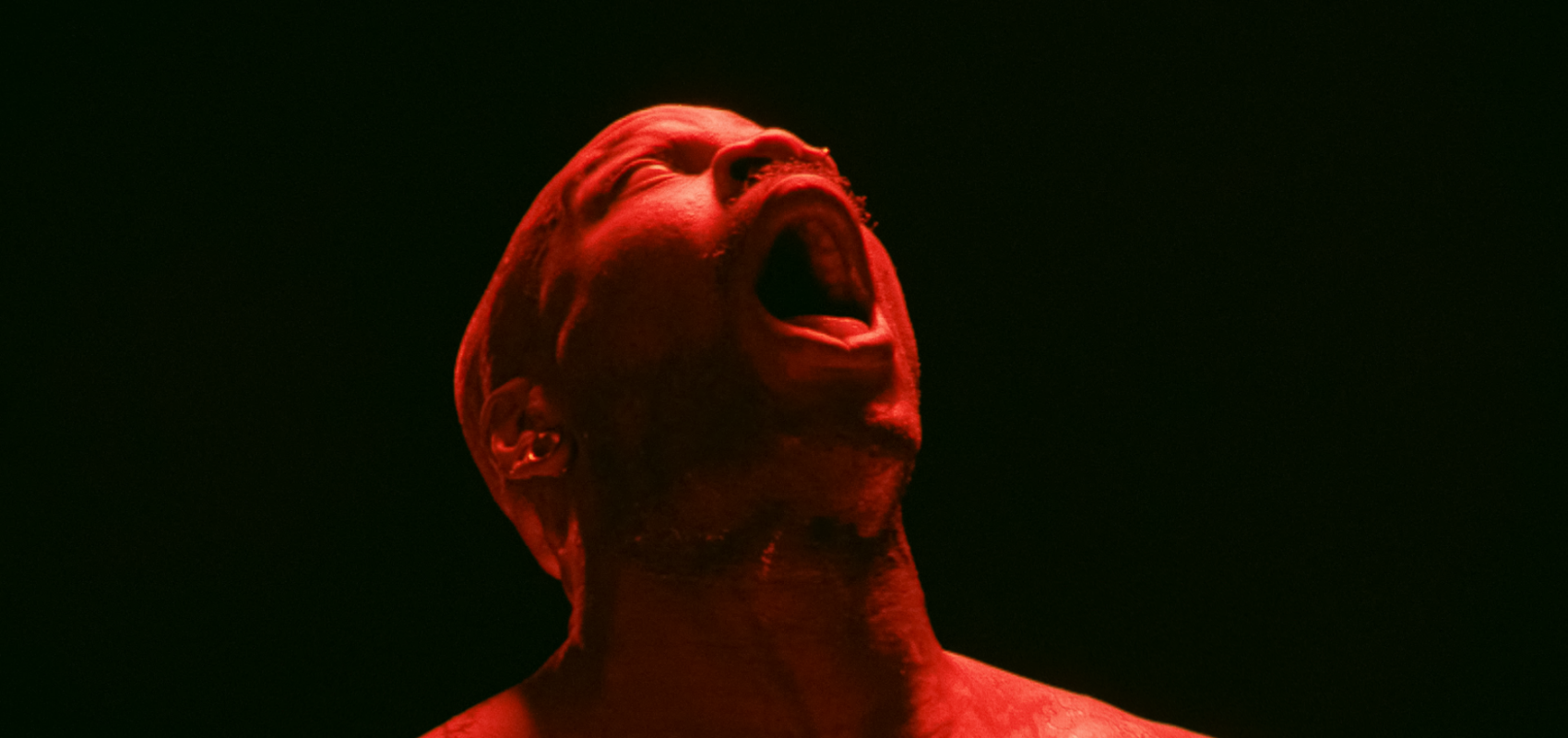 LFFF: The Visitor Q&A & After Party 