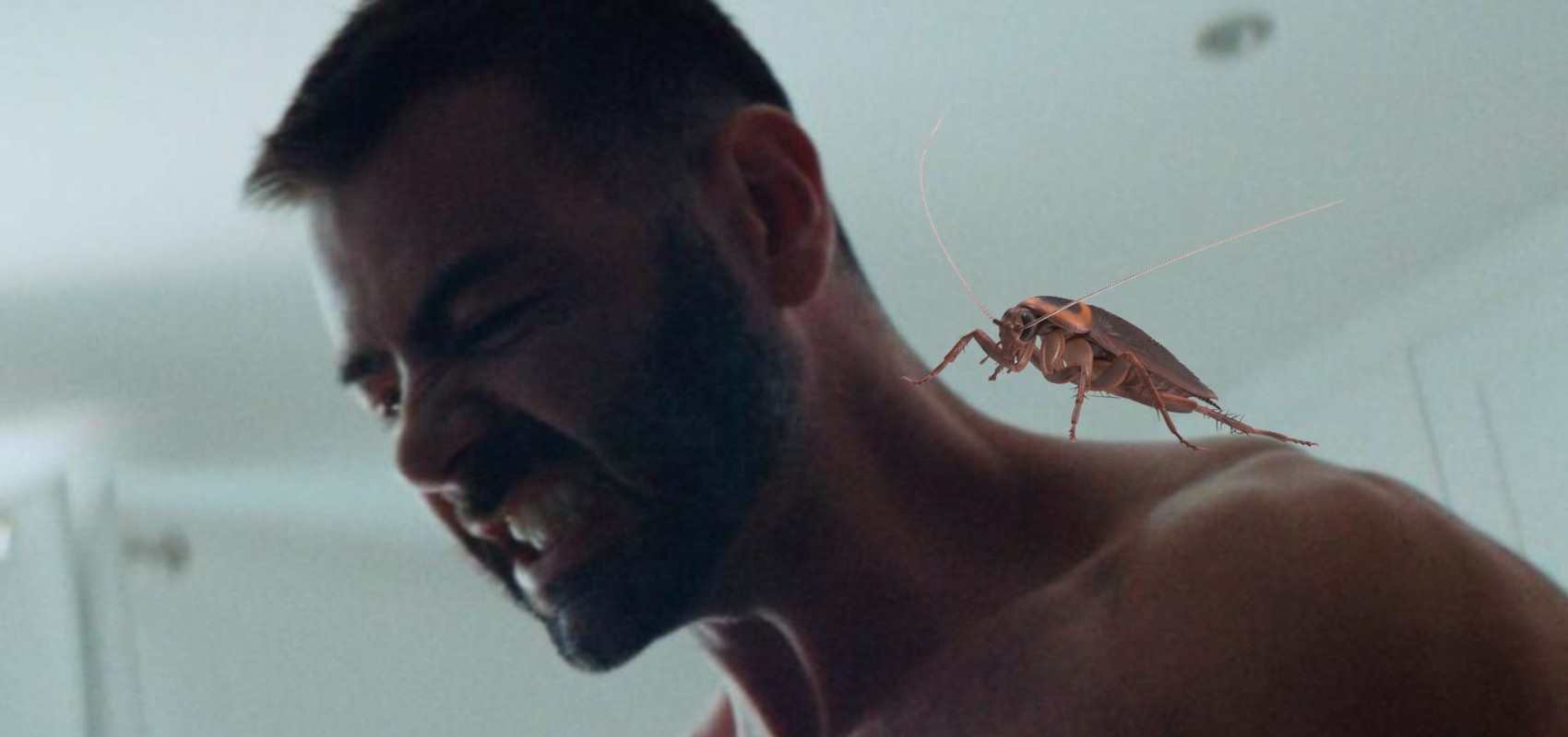 Departures + Cockroach