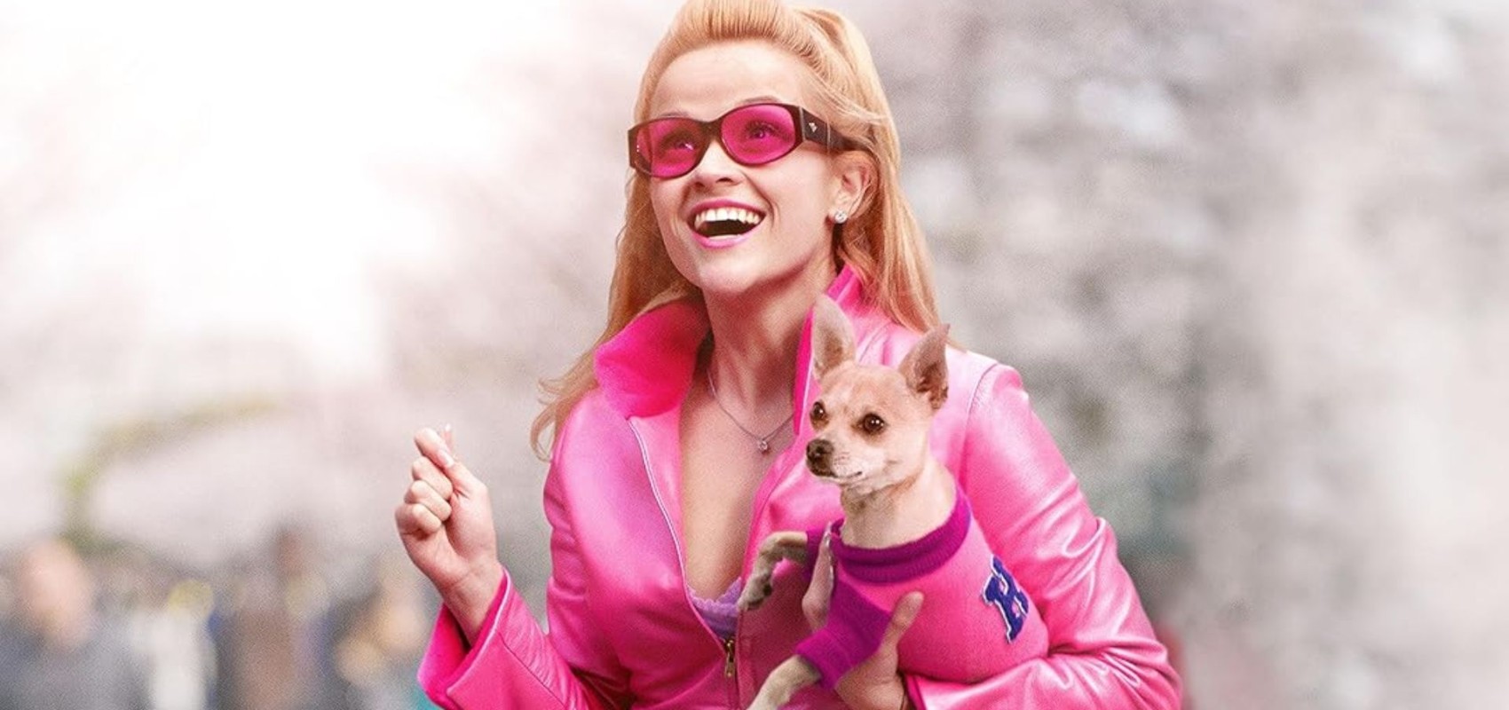 Legally Blonde + Intro (25th Anniversary)