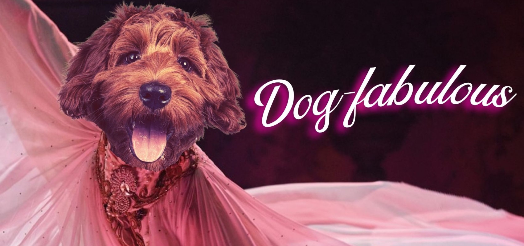 Dog-Friendly: Madfabulous