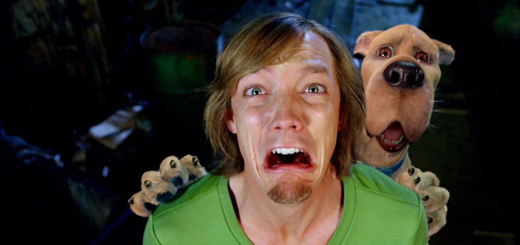 Cinema in the Square: Scooby-Doo 2: Monsters Unleashed (Dog-Friendly Screening)