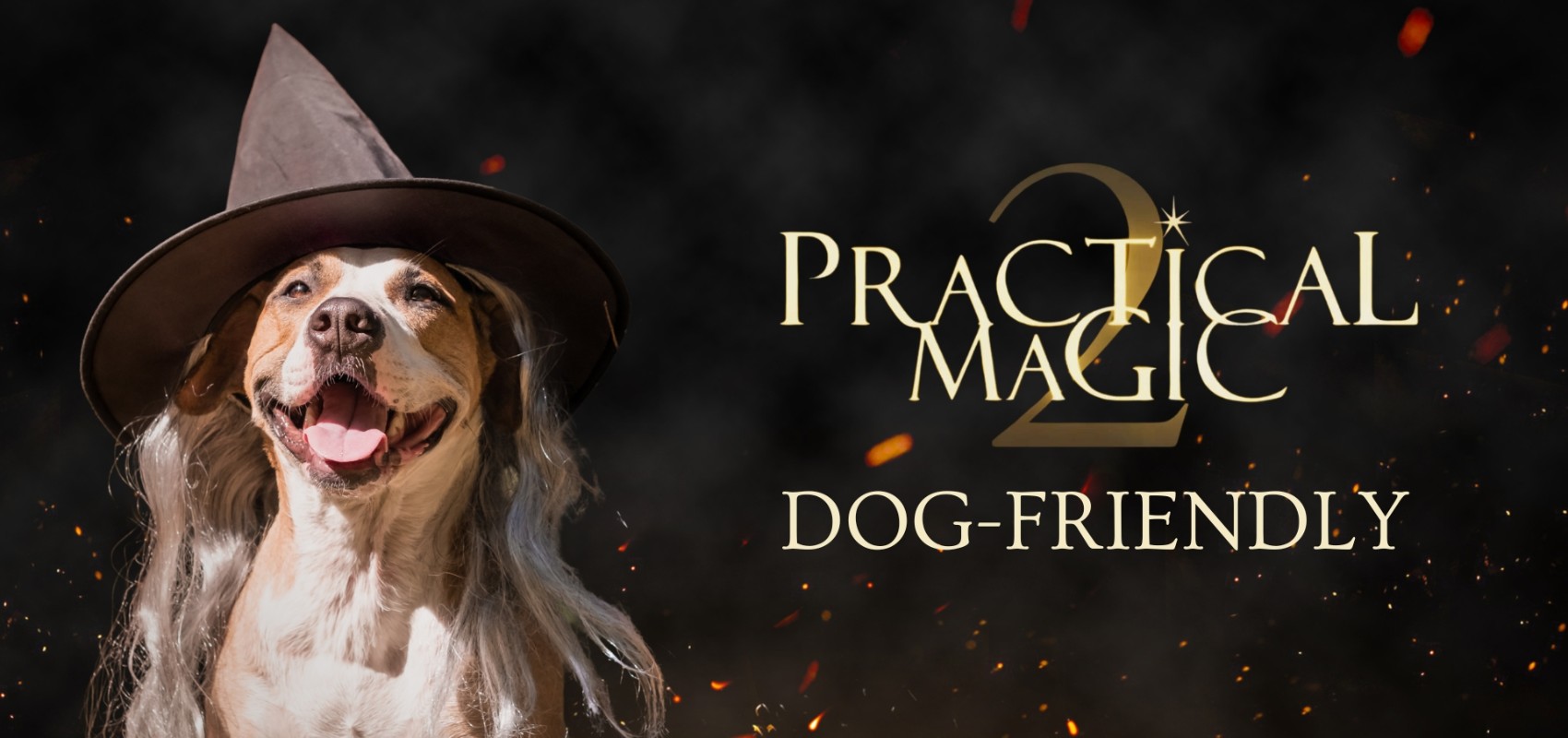 Dog-Friendly: Practical Magic 2