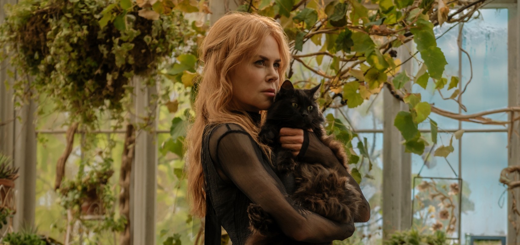 Practical Magic 2 + Intro from Flesh