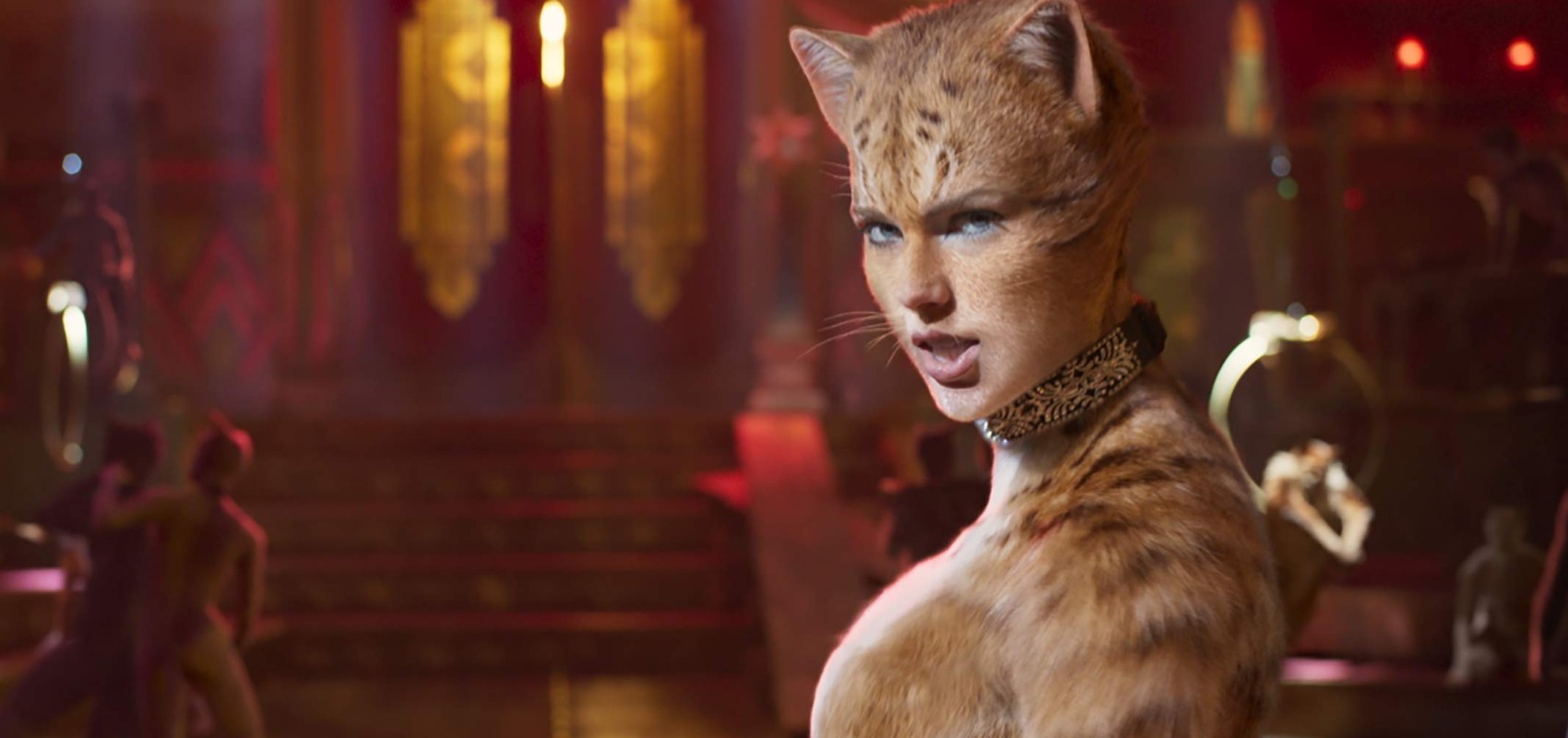 Dog-Friendly: Cats