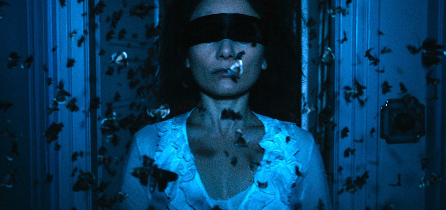 The Duke of Burgundy