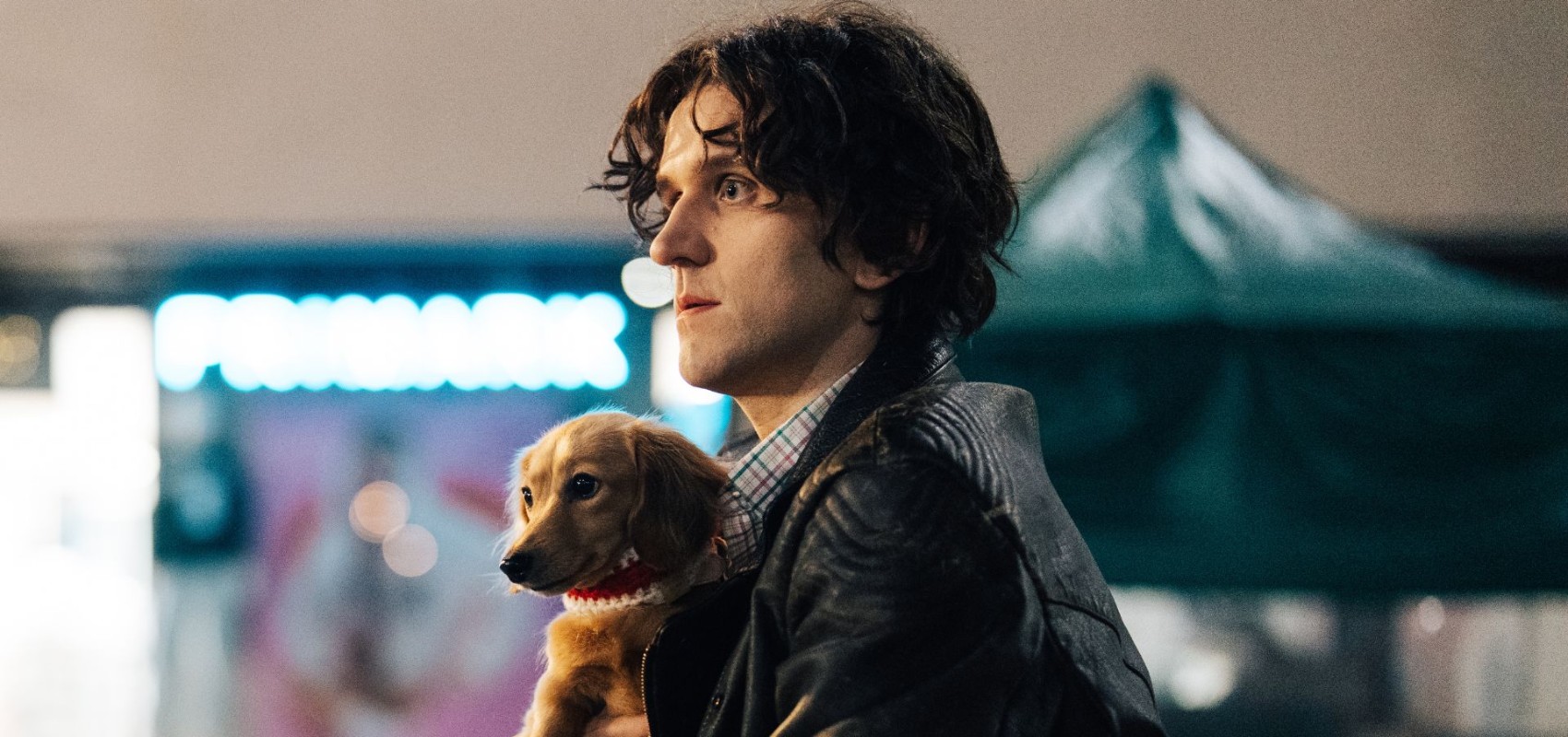 Dog-Friendly: Pillion