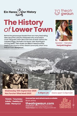Ein Hanes-The History of Lower Town