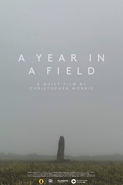 A Year In a Field