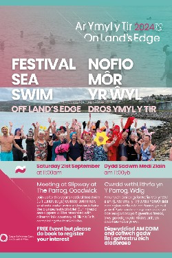 OLE 24 - Festival Sea Swim