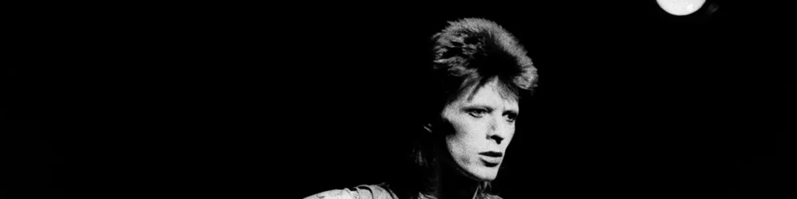 Fundraiser: Bowie: The Final Act
