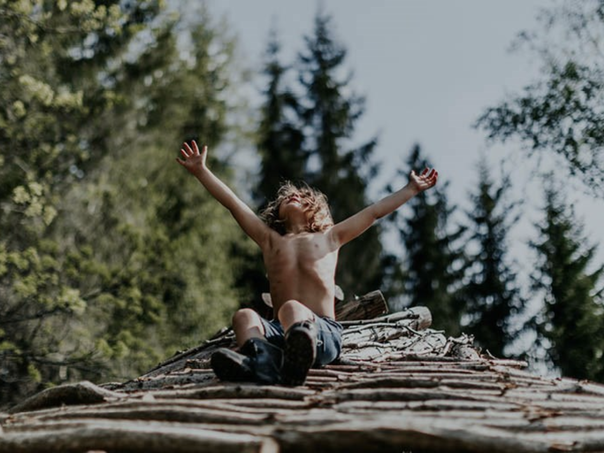 A New Kind of Wilderness