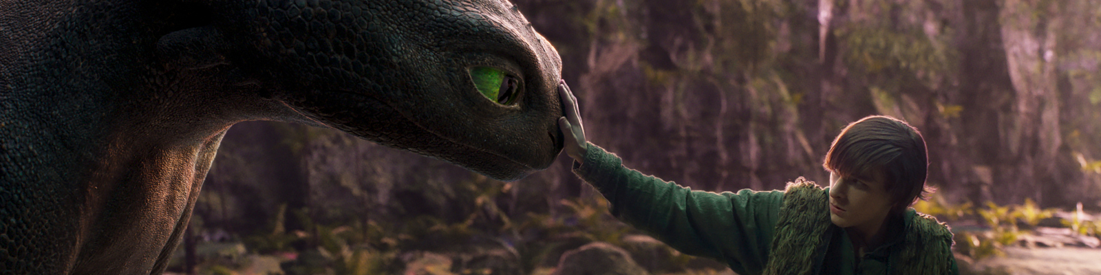 How To Train Your Dragon 