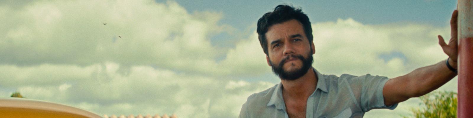 FEBRUARY AT THE LEXI CINEMA