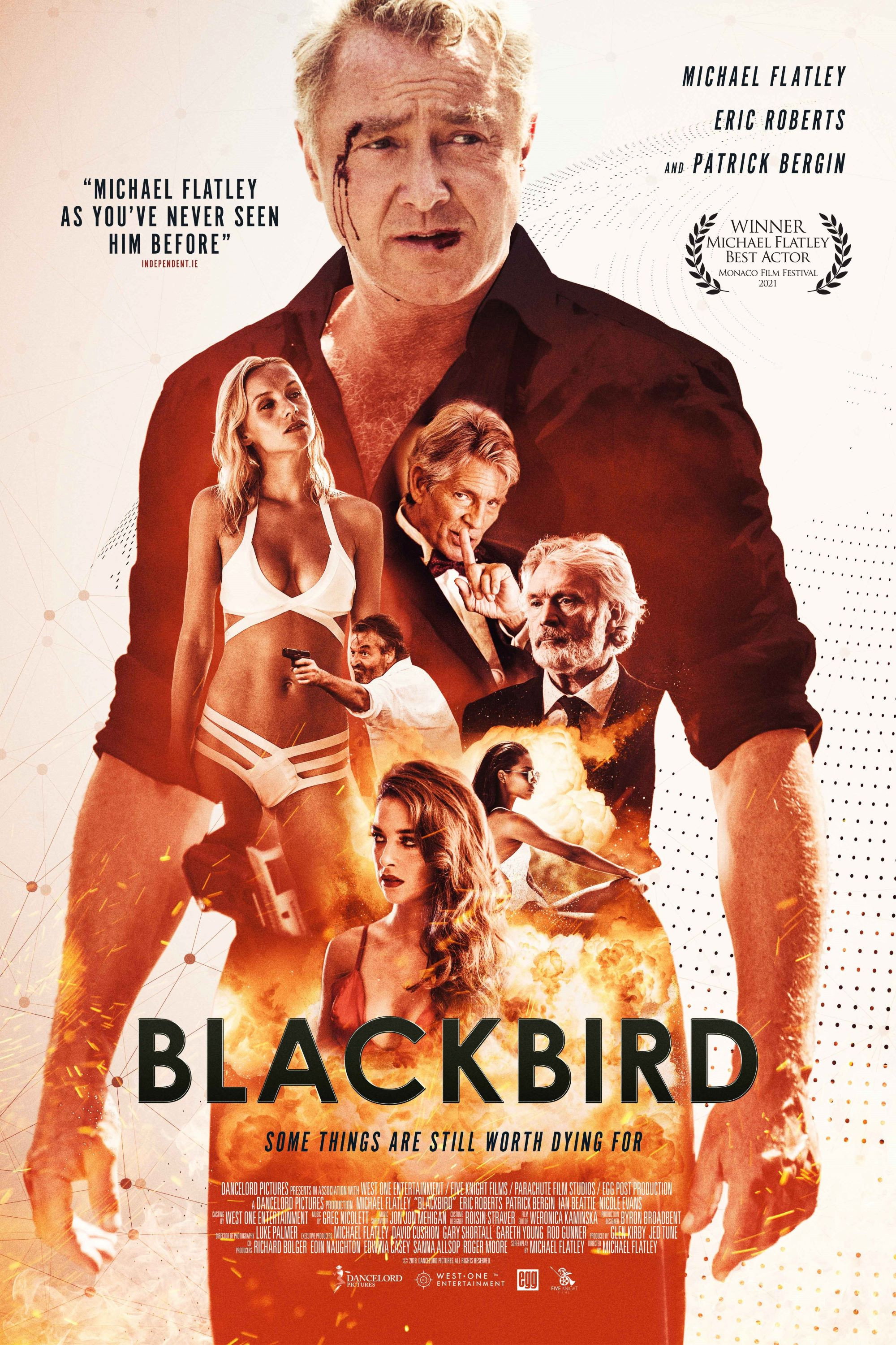 Blackbird