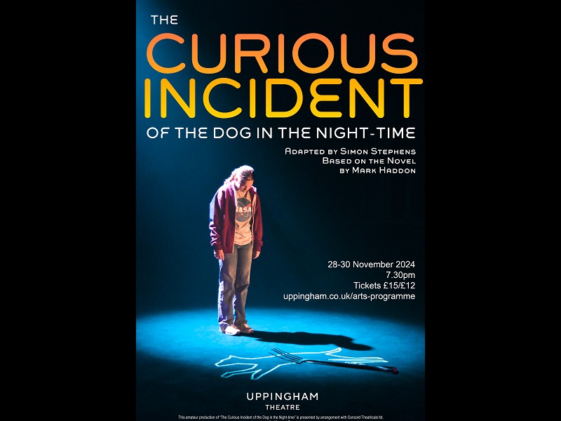 The Curious Incident of the Dog in the Night-time