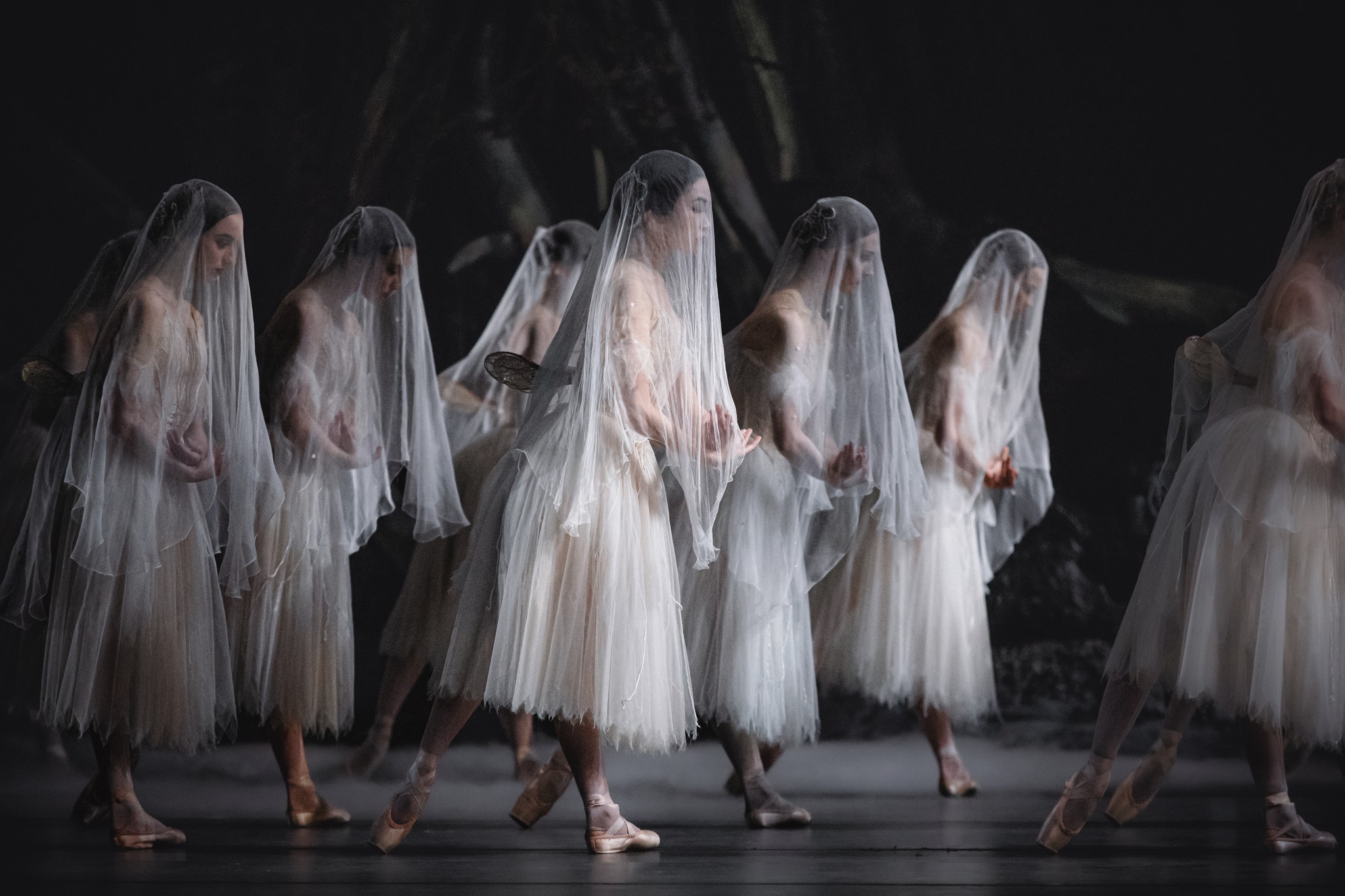Giselle