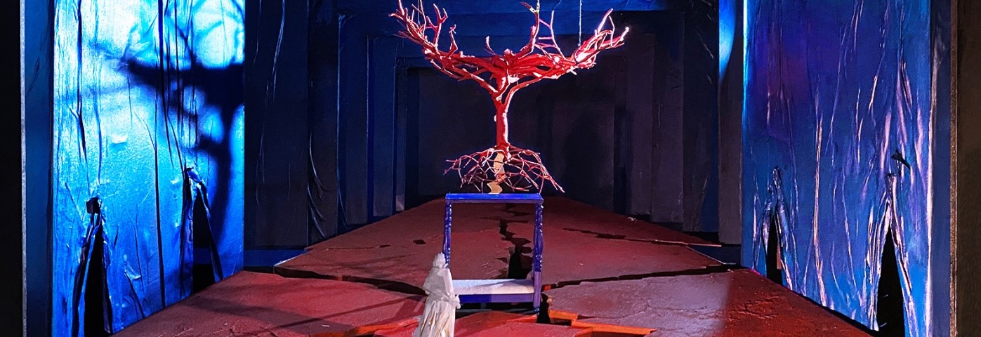 Metropolitan Opera: El Último Sueño de Frida y Diego 
