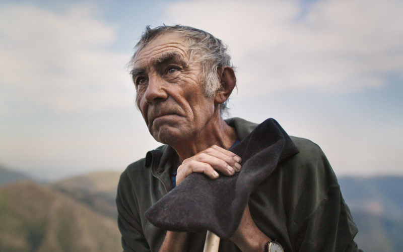 The Shepherd and the Bear